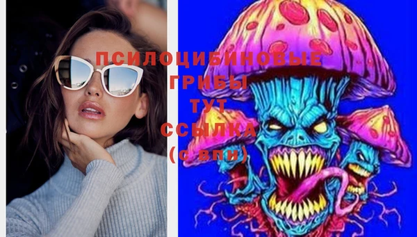 ГАЛЛЮЦИНОГЕННЫЕ ГРИБЫ Балахна