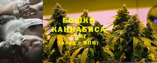 индика Балабаново