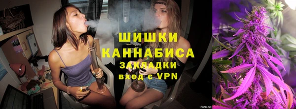 индика Балабаново