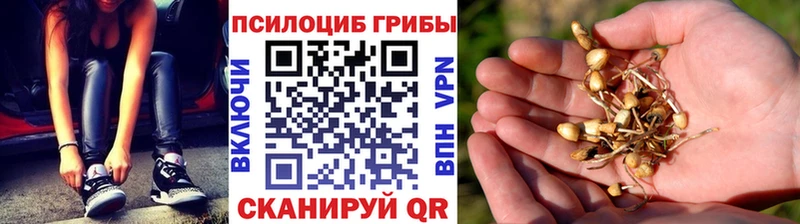 Псилоцибиновые грибы прущие грибы Биробиджан